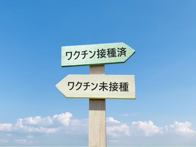 犬の6種混合ワクチンで確認されている副反応