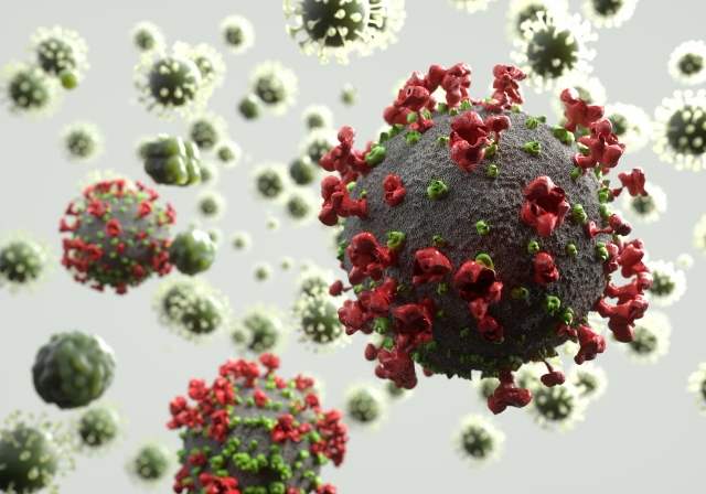 犬の6種混合ワクチンで予防できる感染症