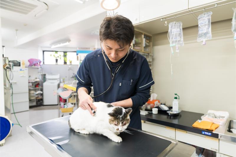 マーズペットクリニック