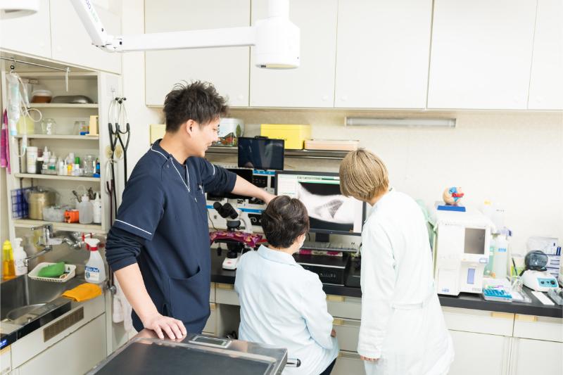 マーズペットクリニック