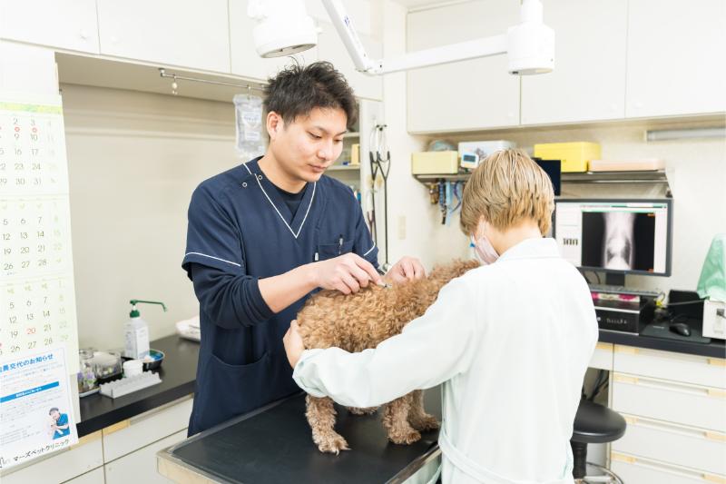 マーズペットクリニック