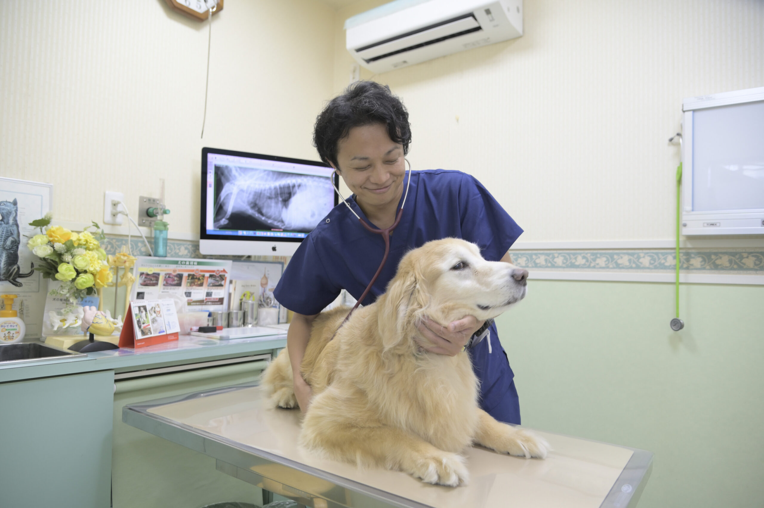 大田中央動物病院photo