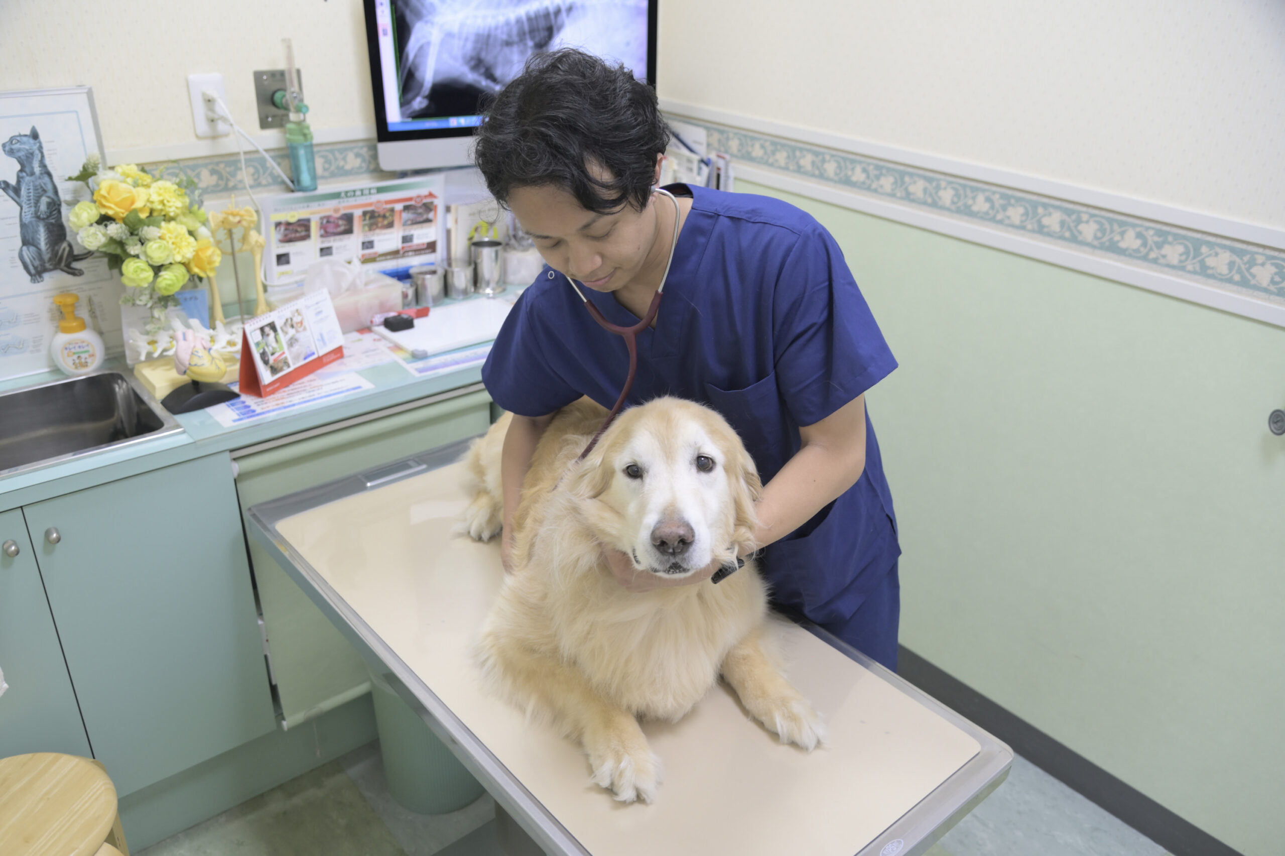 大田中央動物病院photo