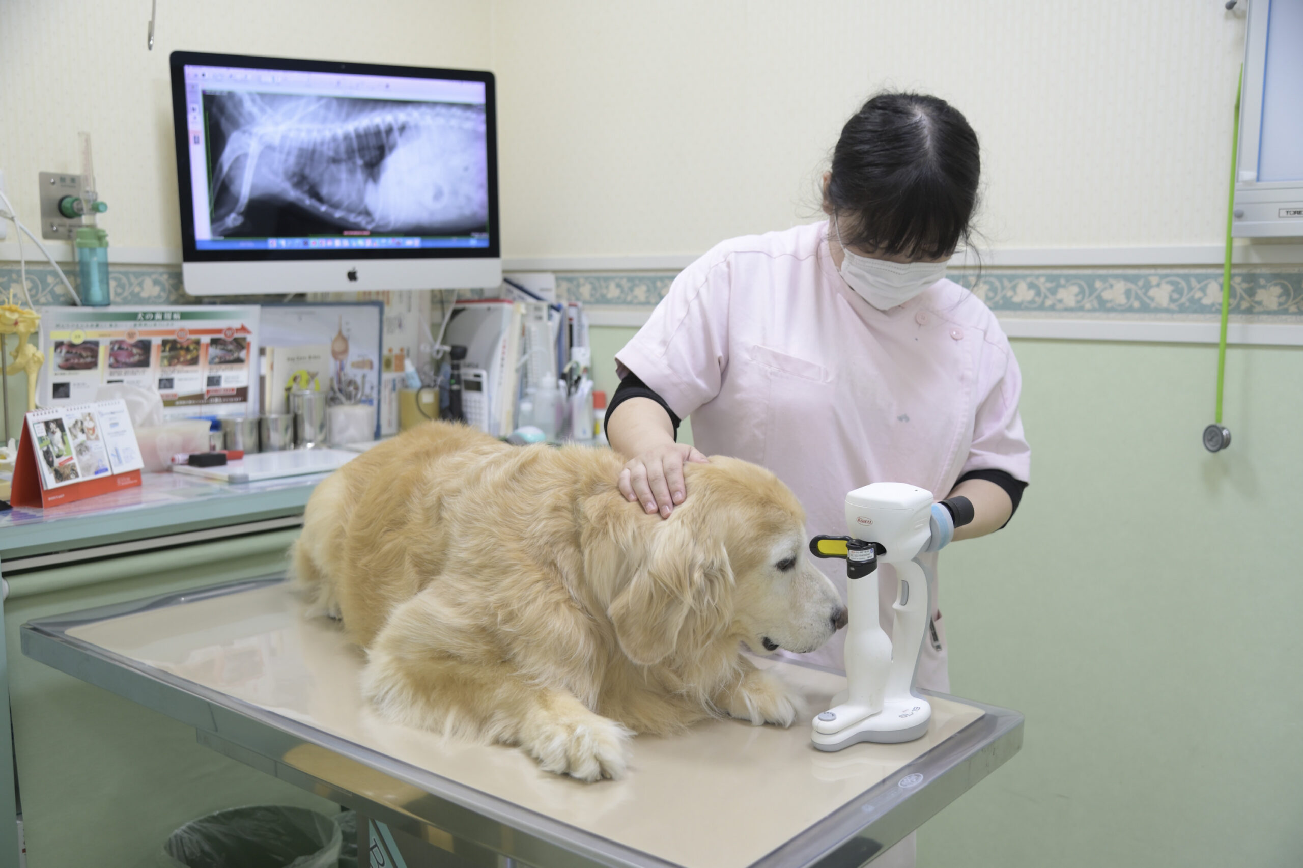 大田中央動物病院photo