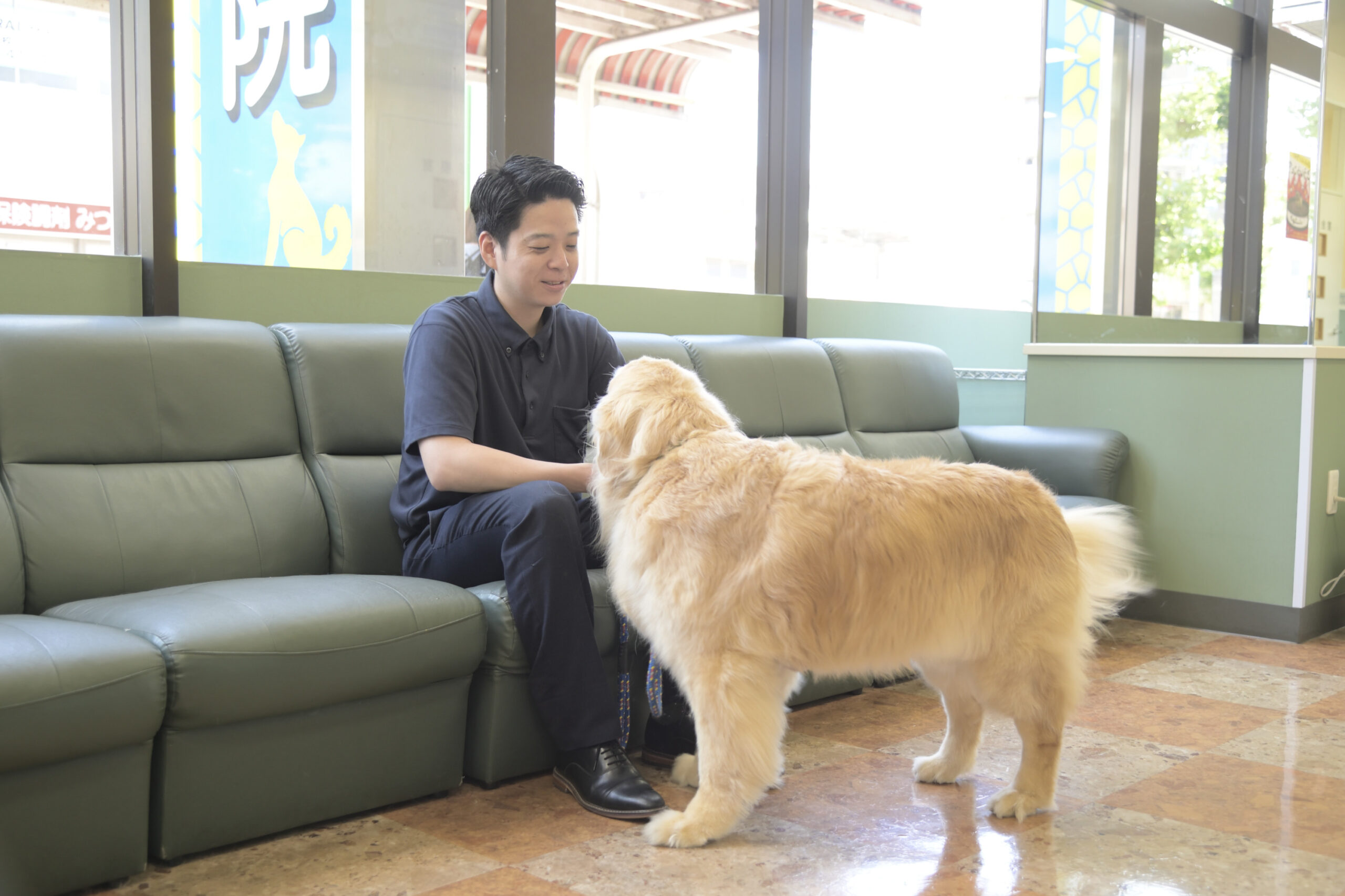 大田中央動物病院photo