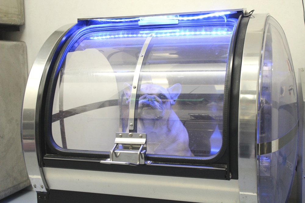 つきみ野松崎動物病院photo