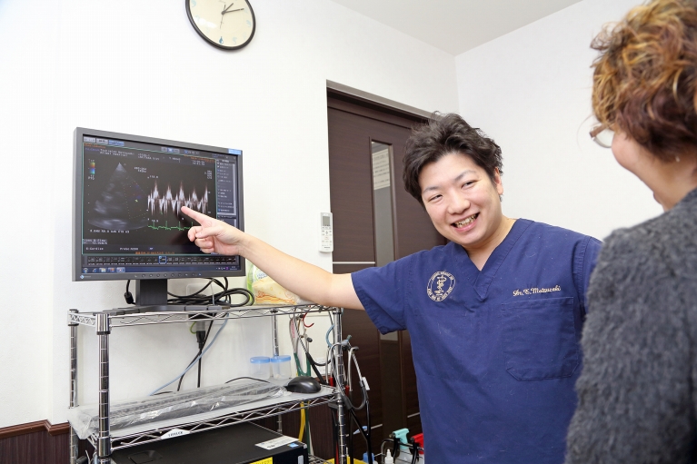 エルマーどうぶつ病院photo