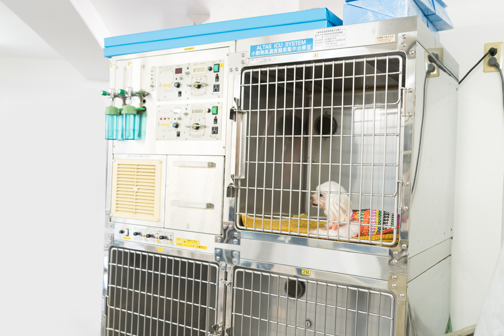 マーズペットクリニック