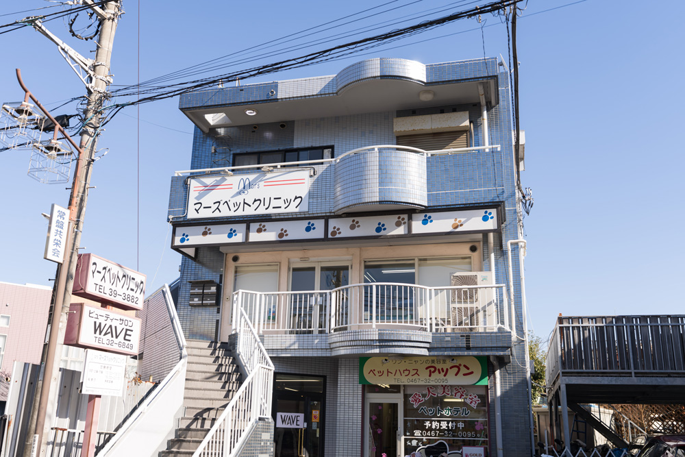 マーズペットクリニック