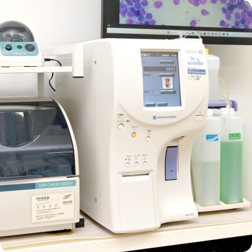 エルマー動物病院photo