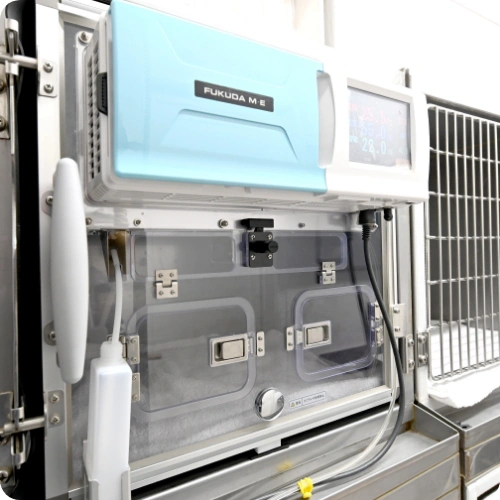 エルマー動物病院photo