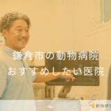 【2025年】鎌倉市の動物病院 おすすめしたい1医院