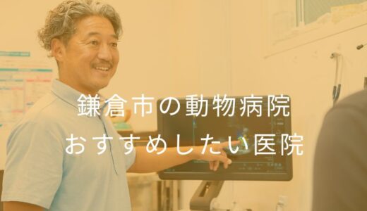 【2025年】鎌倉市の動物病院 おすすめしたい5医院