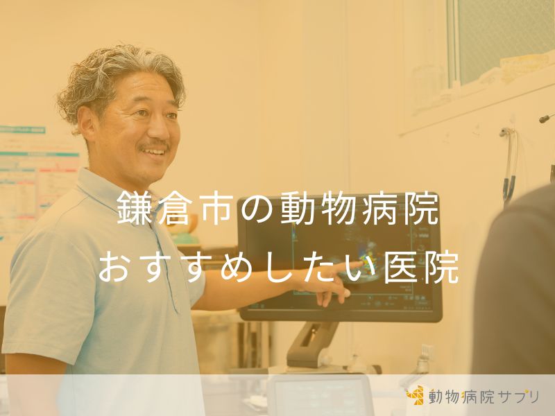 鎌倉市の動物病院 おすすめしたい医院