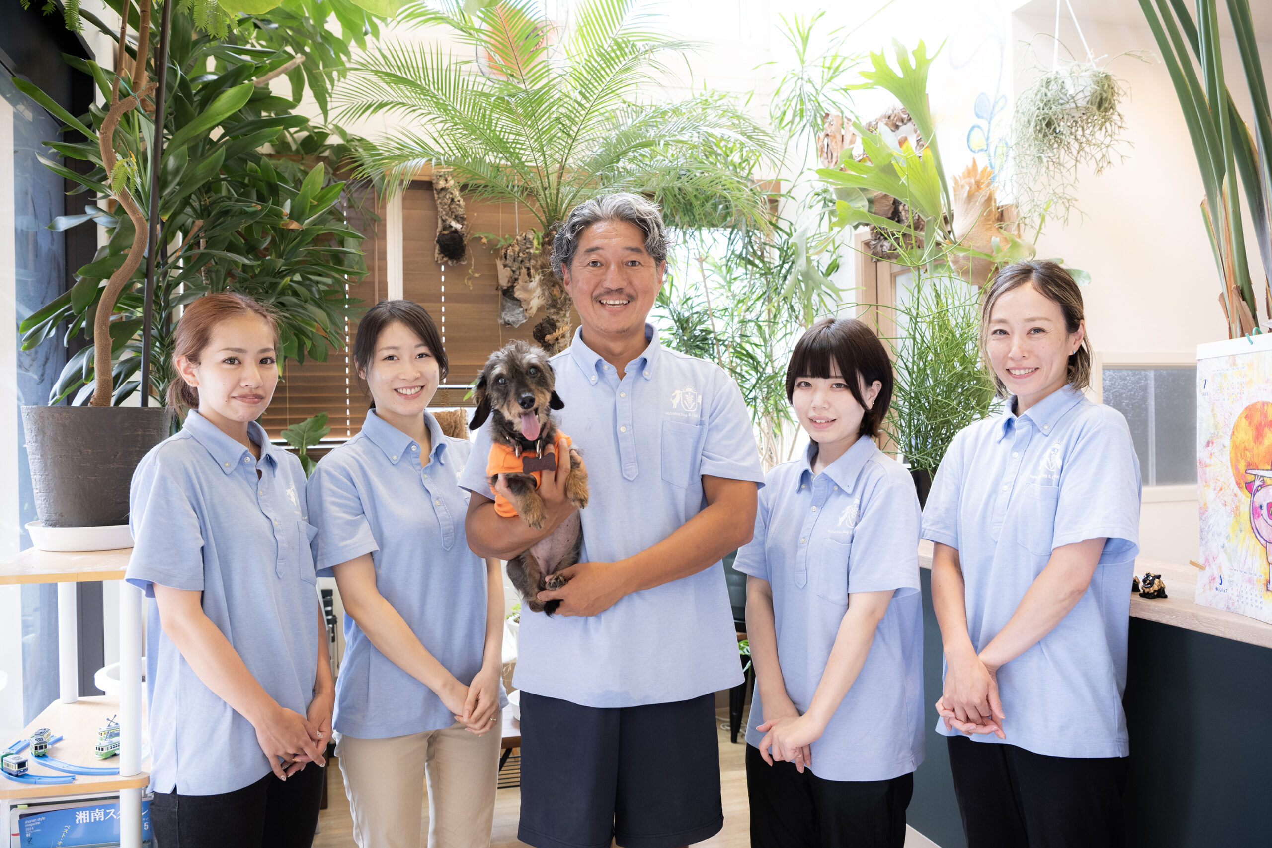 藤沢はたま犬猫病院