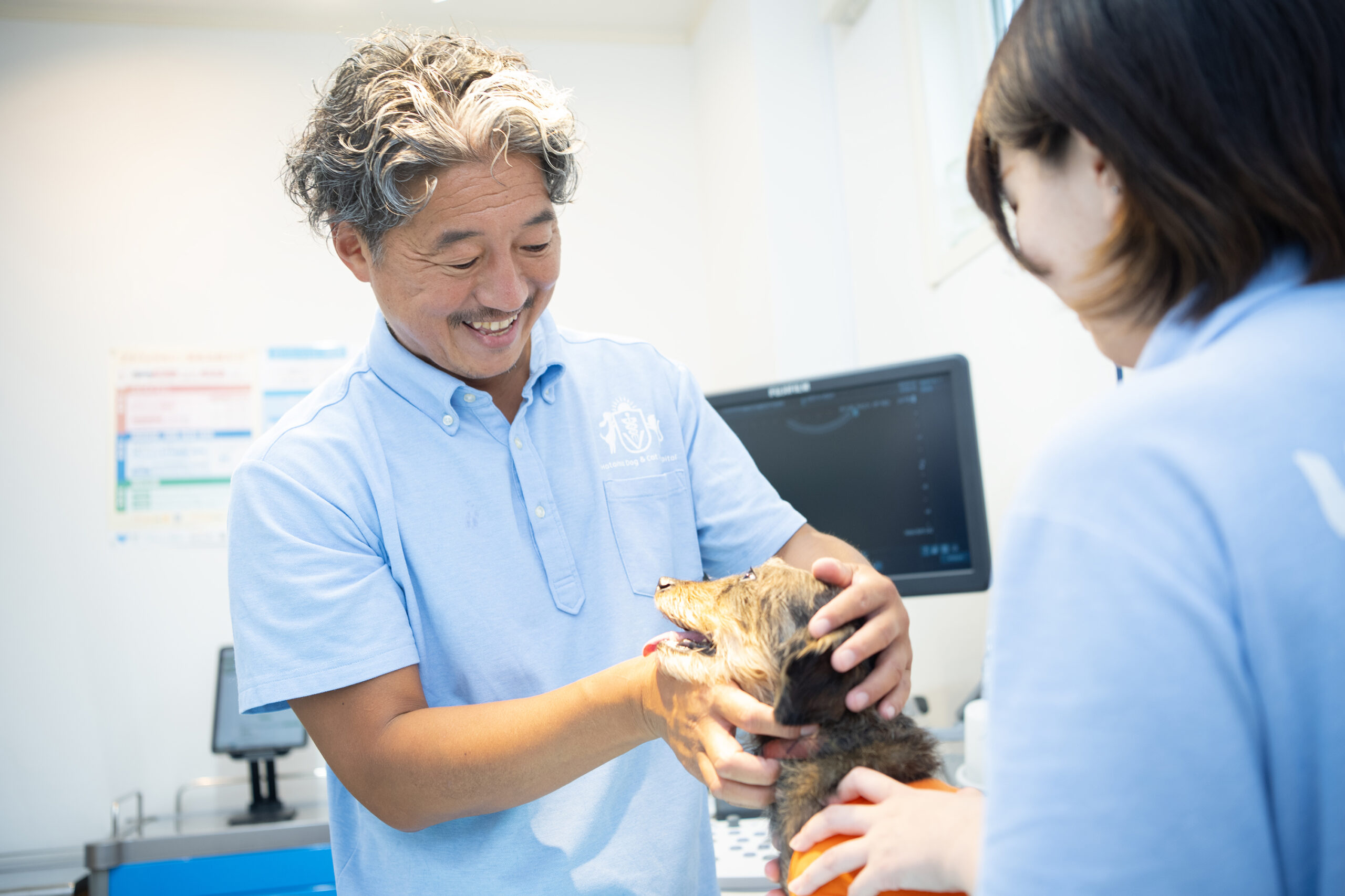藤沢はたま犬猫病院