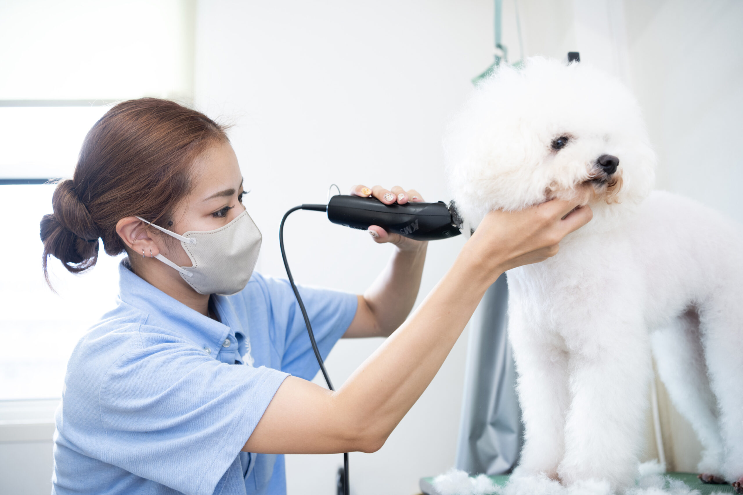 藤沢はたま犬猫病院
