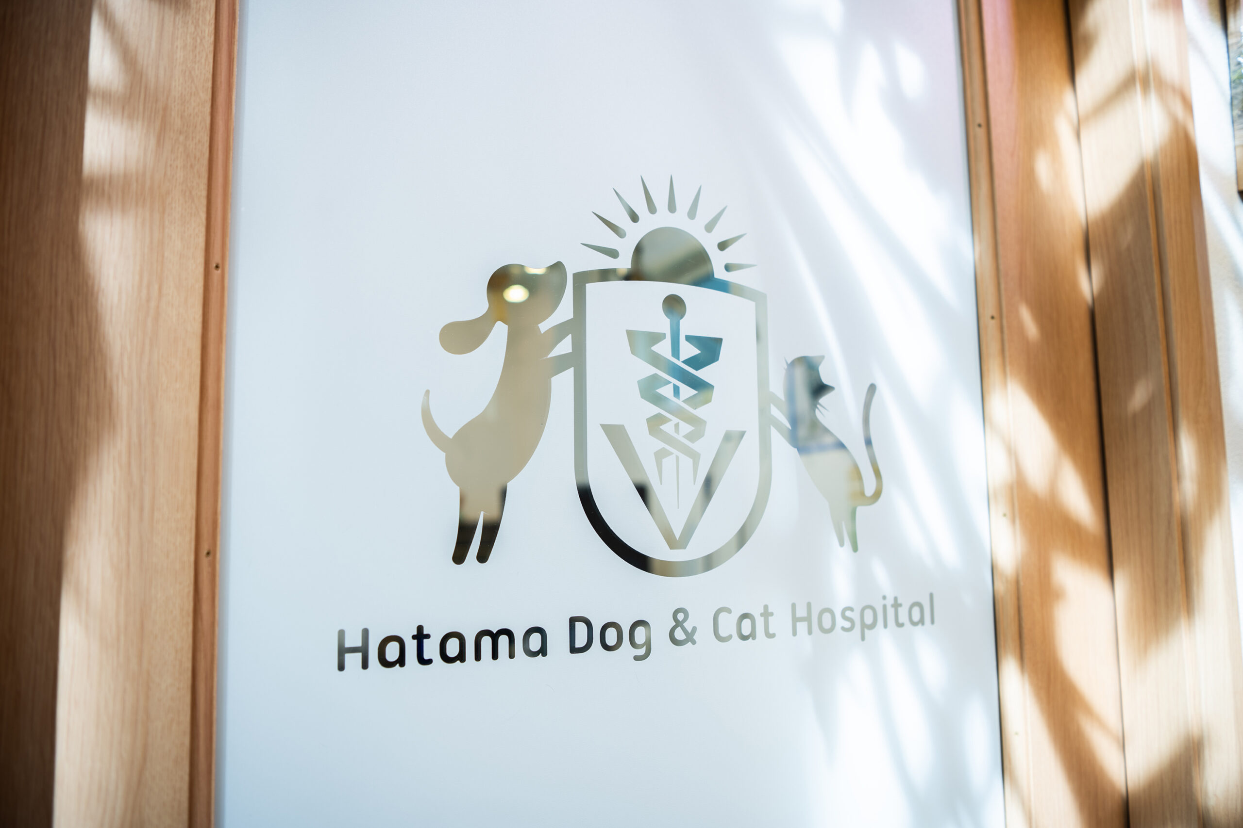 藤沢はたま犬猫病院