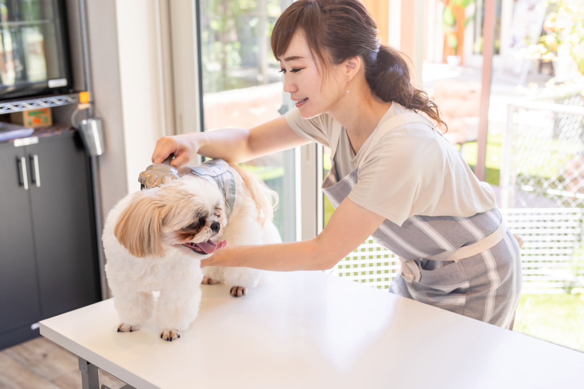ペットサロンでお手入れ