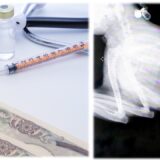 動物病院のレントゲン費用はいくら？料金の内訳や検査でわかることも解説