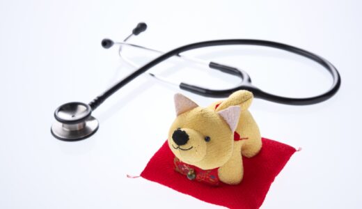 犬のてんかん症状を見分けるには？発作の兆候と対処法を解説