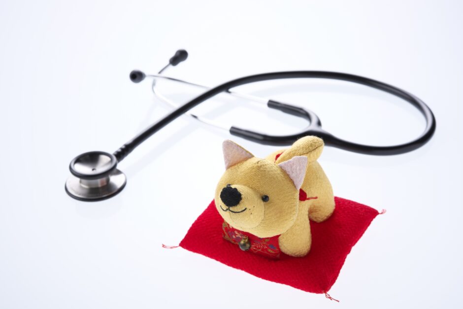 犬のてんかん症状を見分けるには？発作の兆候と対処法を解説