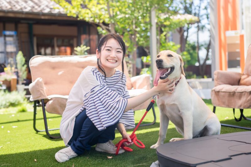 しつけ教室にいる犬