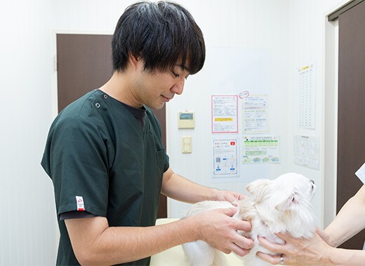 駅前通り動物病院