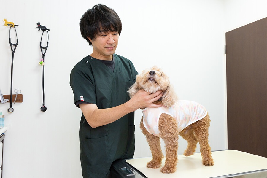 駅前通り動物病院