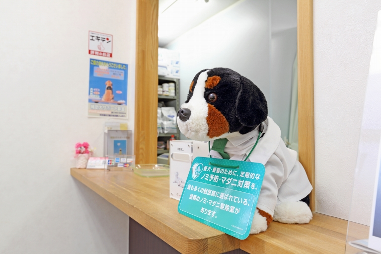”つきみ野松崎動物病院photo"