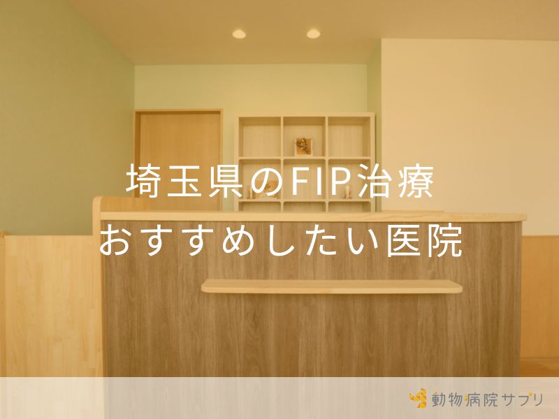 埼玉県のFIP治療 おすすめしたい医院