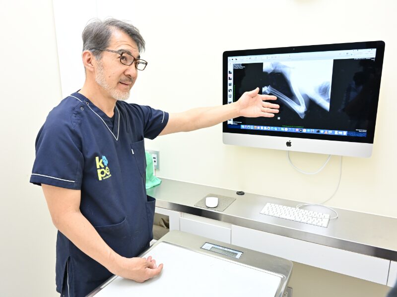 ふなばし動物医療センター かつまペットクリニック