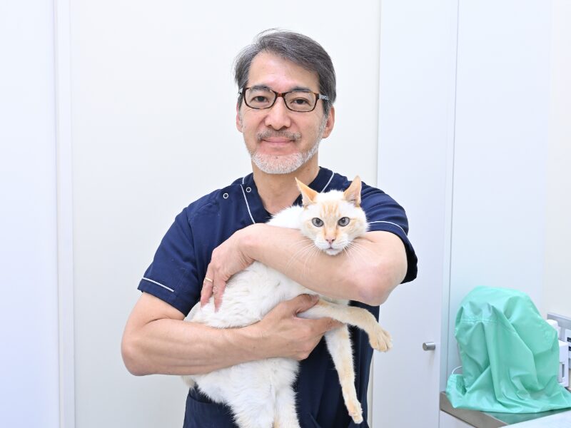 ふなばし動物医療センター かつまペットクリニック