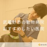 武蔵野市の動物病院 おすすめしたい医院