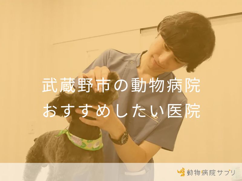 武蔵野市の動物病院 おすすめしたい医院