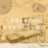 【2025年】千葉県の動物病院 おすすめしたい9医院