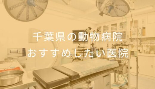 【2025年】千葉県の動物病院 おすすめしたい9医院