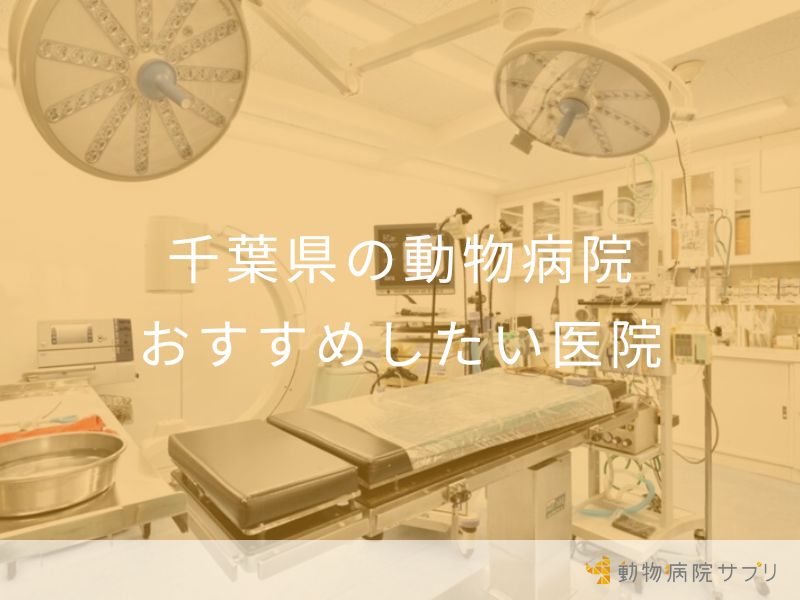 千葉県の動物病院 おすすめしたい医院