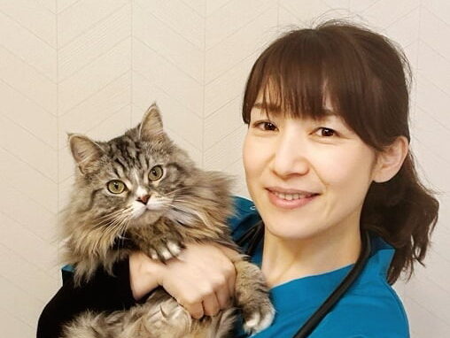 にしおおみや動物病院