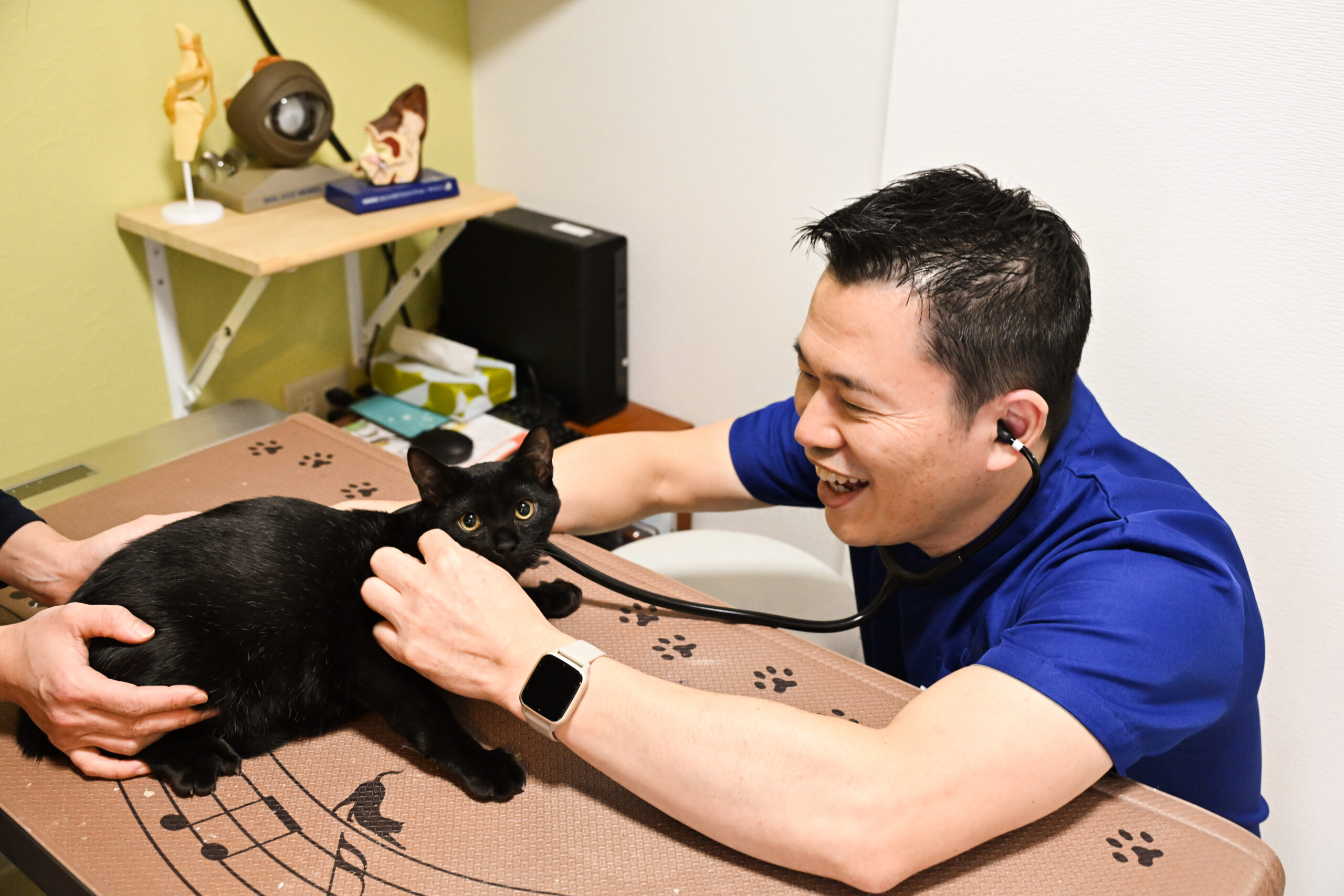 桑園動物病院