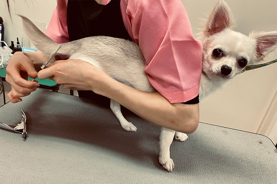 駅前通り動物病院