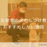【2025年】名古屋市の犬のしつけ教室 おすすめしたい6施設