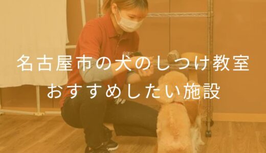 【2025年】名古屋市の犬のしつけ教室 おすすめしたい6施設