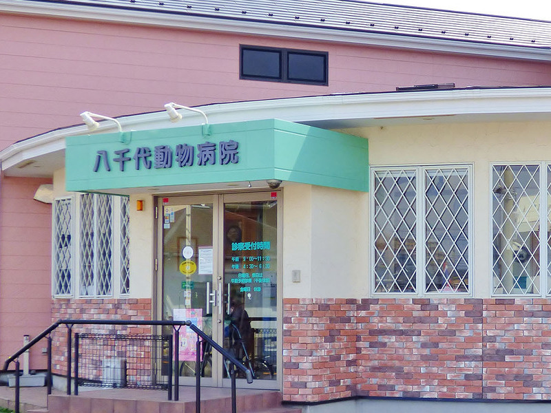 八千代動物病院