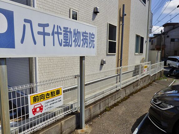 八千代動物病院