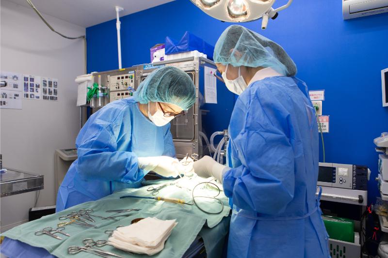 うつのみや動物病院