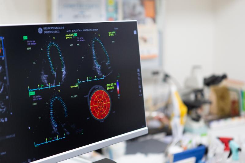うつのみや動物病院