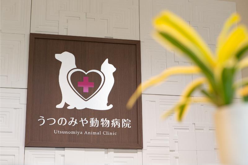 うつのみや動物病院