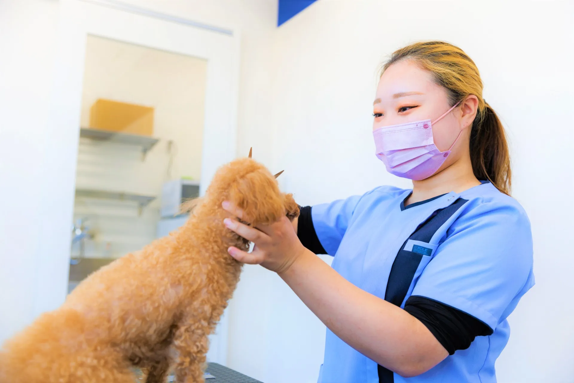 ラミナ動物病院photo