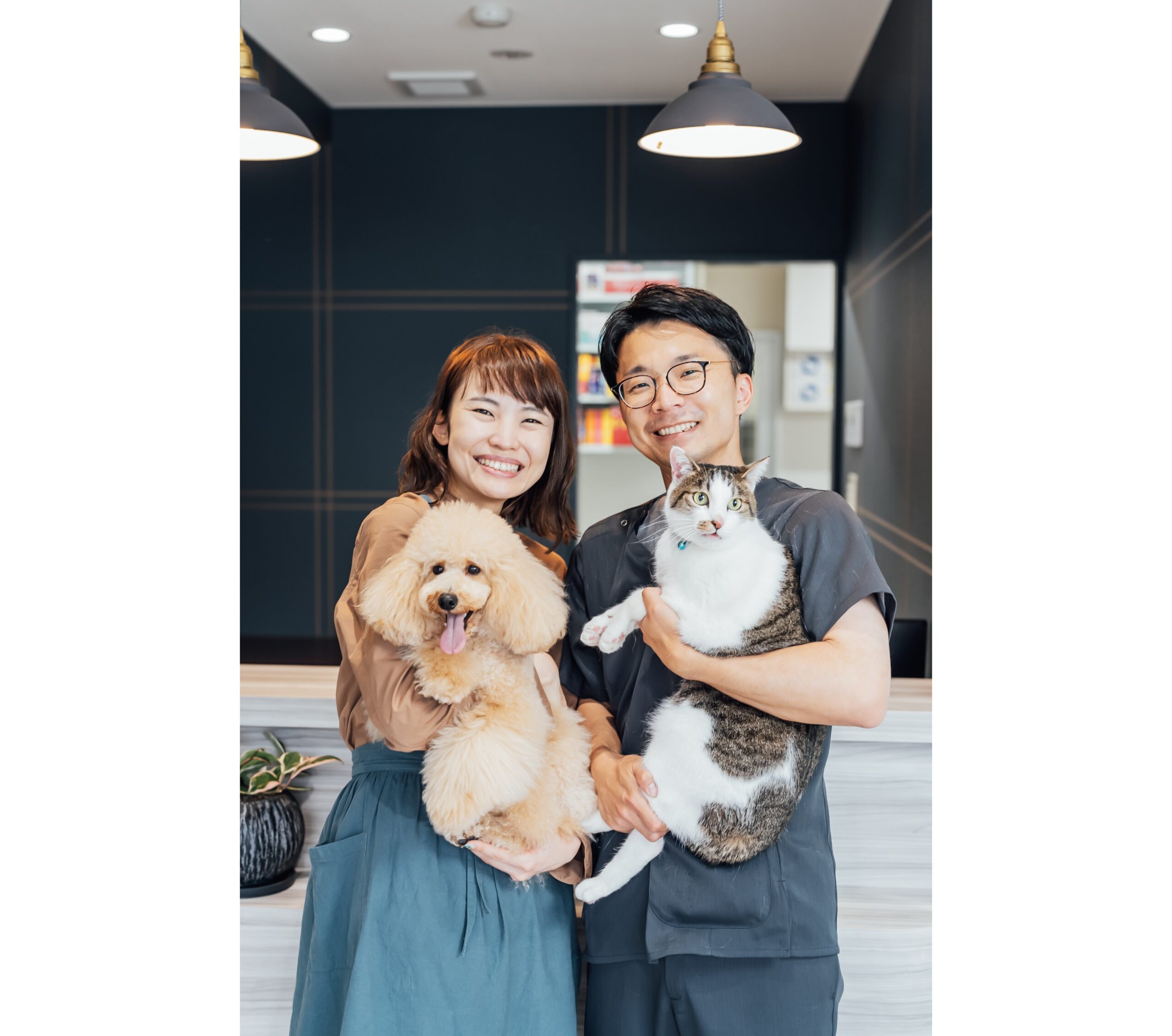 かなで犬猫クリニック